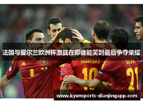 法国与爱尔兰欧洲杯激战在即谁能笑到最后争夺荣耀